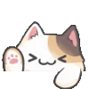 😻