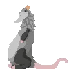 🐁