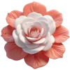 🌸