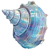 🐚