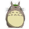 🐨