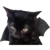 🐈‍⬛