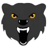 🐻