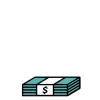 💸