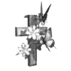 ✝