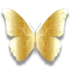 🦋