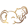 🐘