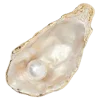 🐚