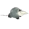 🐁