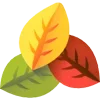 🍂