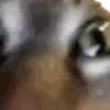 😡