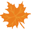 🍁
