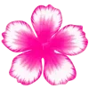 🌸