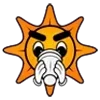 🌞