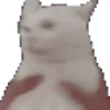 🫨