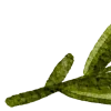 🌿