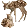 🦌