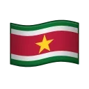 🇸🇷