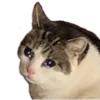 🥺