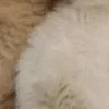 🤩