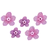 🌼