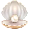 🐚
