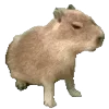 🫤