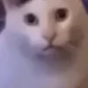 😯