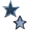 🌟