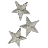 🌟
