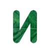 💚