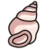 🐚
