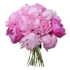 💐