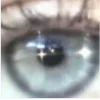 👁️