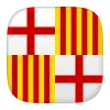 🇪🇸