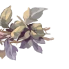 🌸