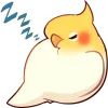 😴