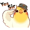 👍