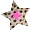 ⭐
