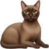 🐱