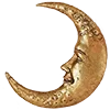 🌜