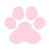 🐾