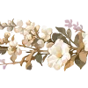 🌸
