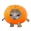 🍊