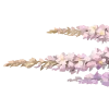 🌸