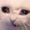 😭