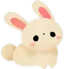 🐰