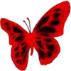 🦋
