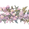 🌸