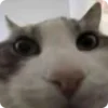 🫣